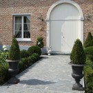 MOUNTAIN BLUESTONE - getrommeld