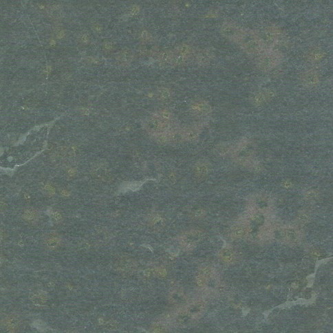 valongo-multicolor'