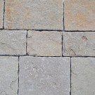 manga-gold-natruwsoign