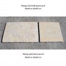 manga-gold-half-geschuurd'
