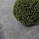 bluestone dark''
